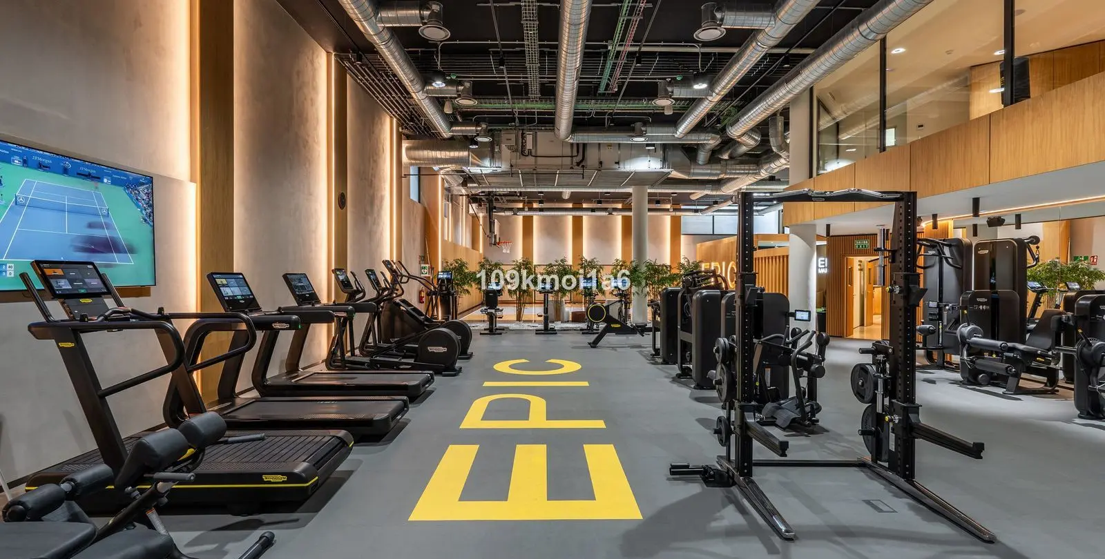 Long-term rent of ground floor apartment in The Golden Mile 23