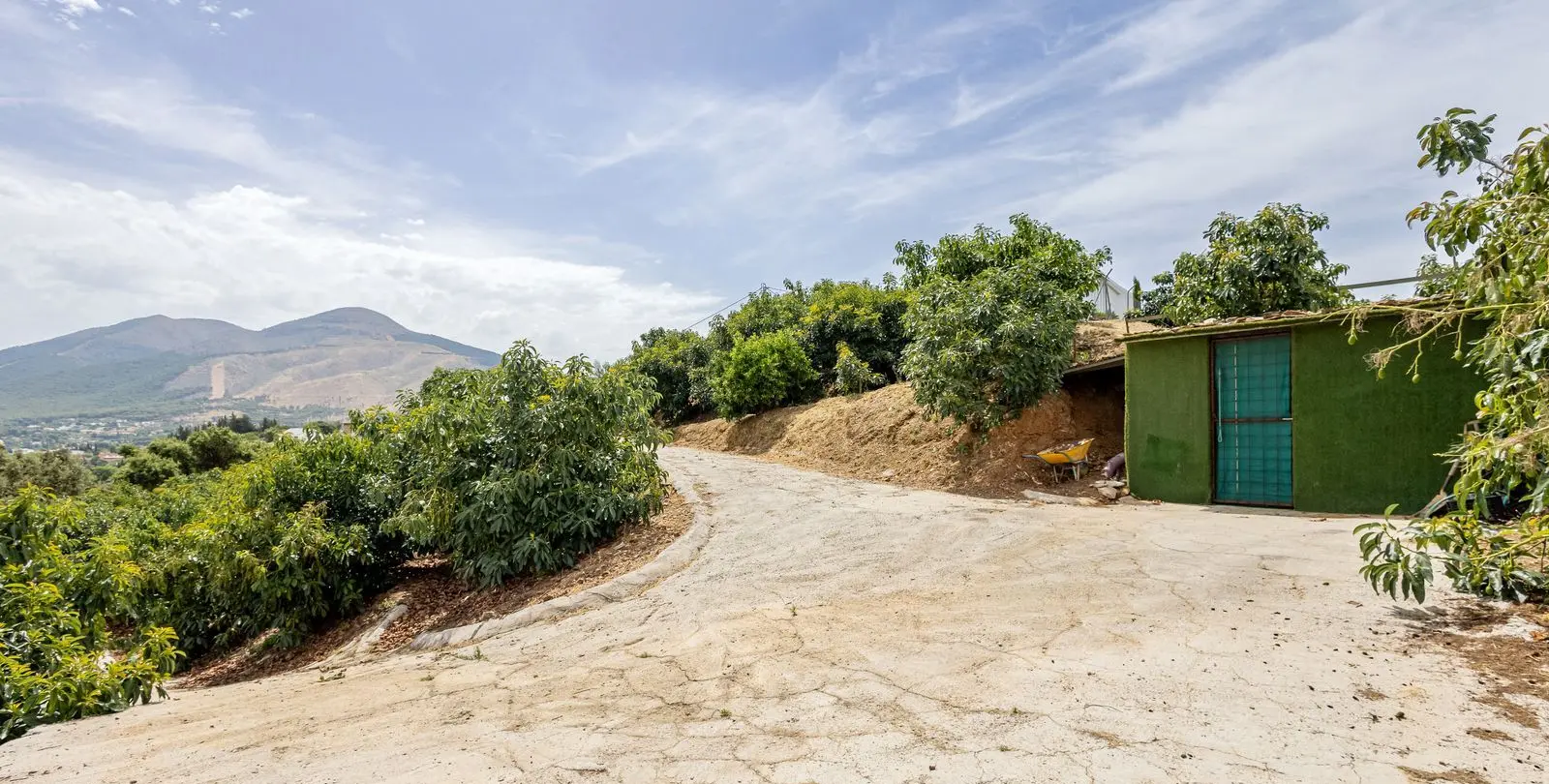 Sale of finca - cortijo in Alhaurín el Grande 49