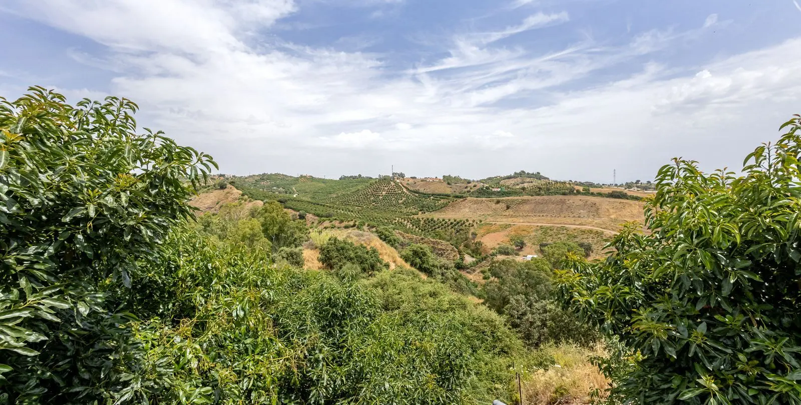 Sale of finca - cortijo in Alhaurín el Grande 50