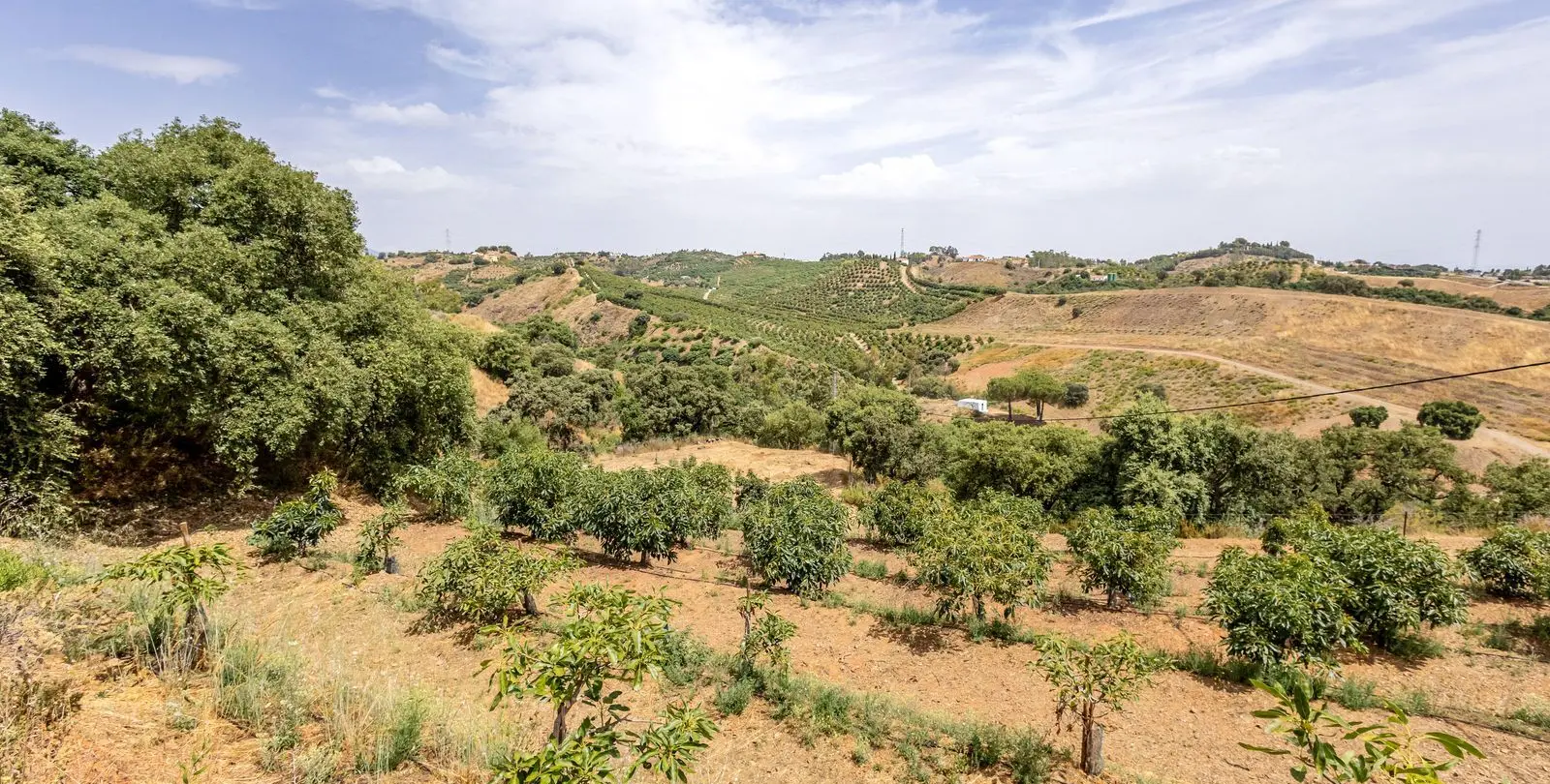 Sale of finca - cortijo in Alhaurín el Grande 53