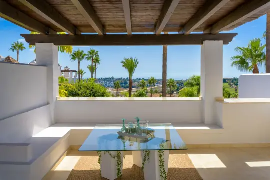 Image 4 thumb