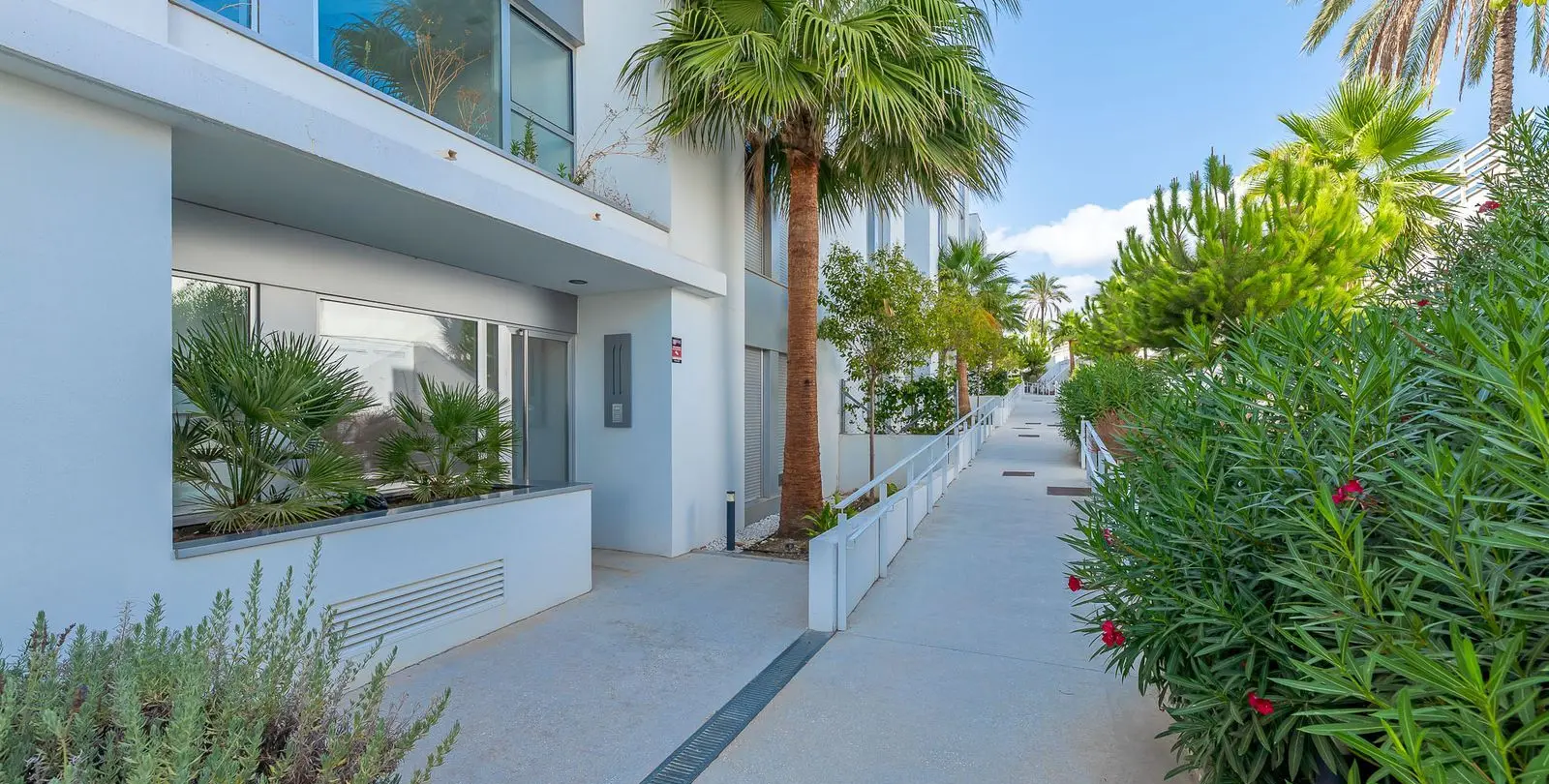 Sale of penthouse in Cancelada 3