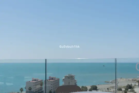 Image 24 thumb