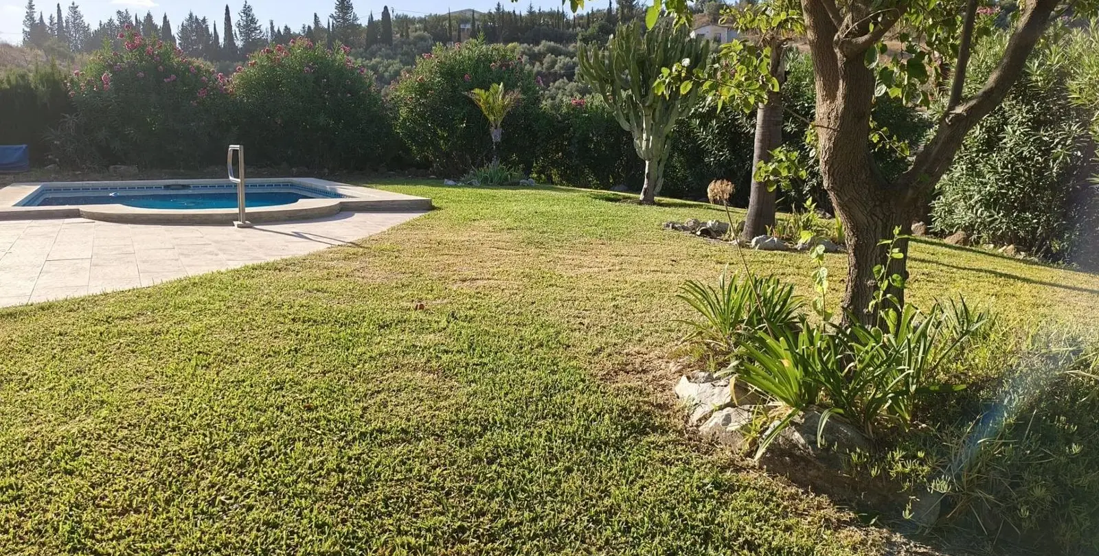 Sale of finca - cortijo in Alhaurín el Grande 23