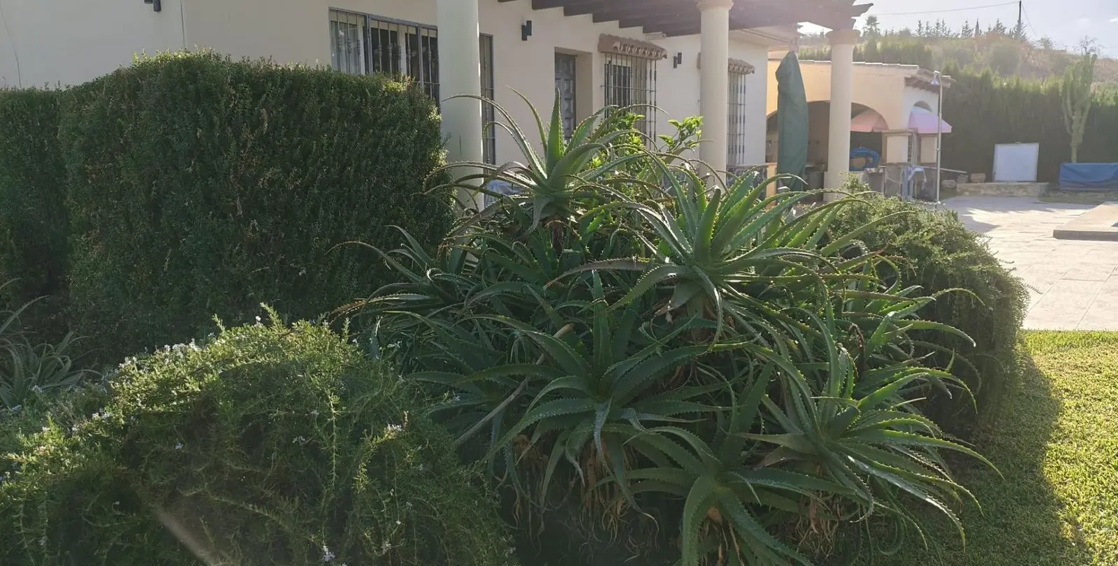 Sale of finca - cortijo in Alhaurín el Grande 48