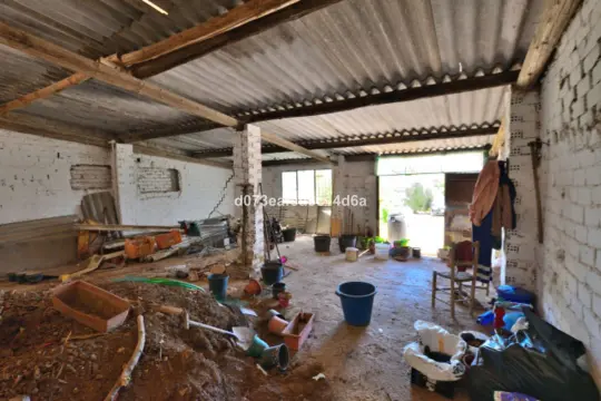 Image 63 thumb