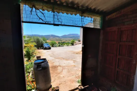 Image 66 thumb