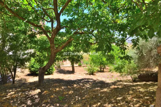 Image 73 thumb