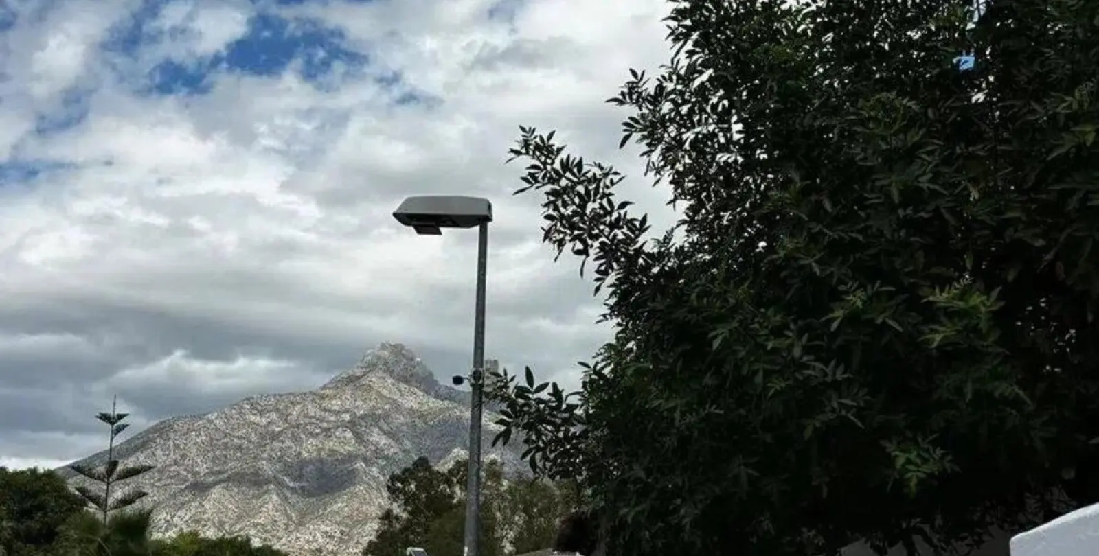 Venta de adosado en Nueva Andalucía 25