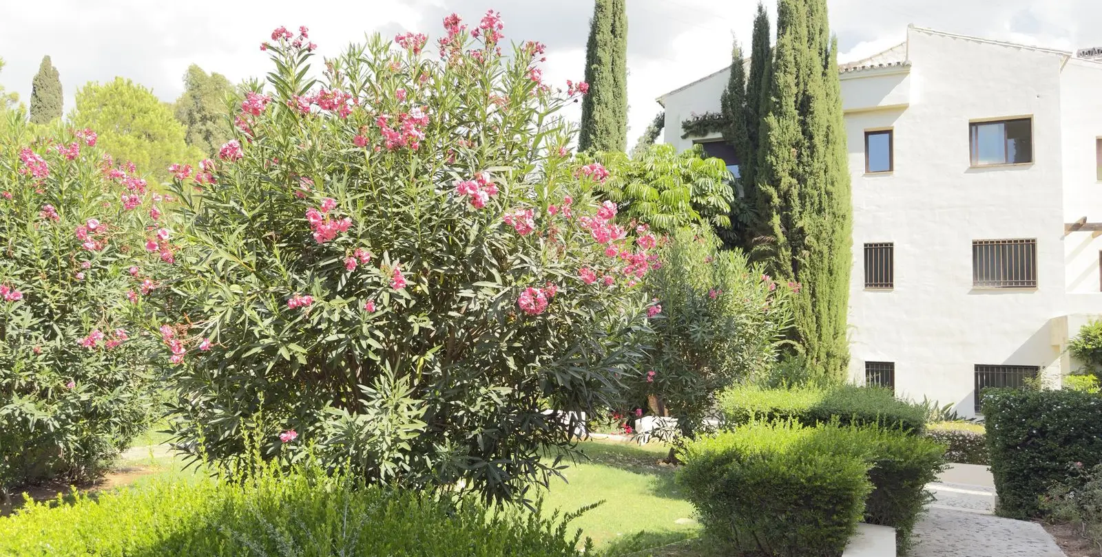 Sale of penthouse in La Quinta 14