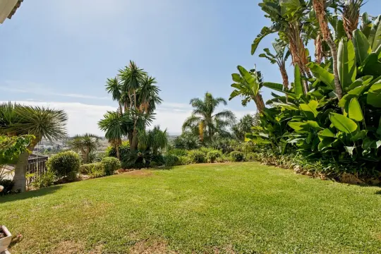 Image 65 thumb