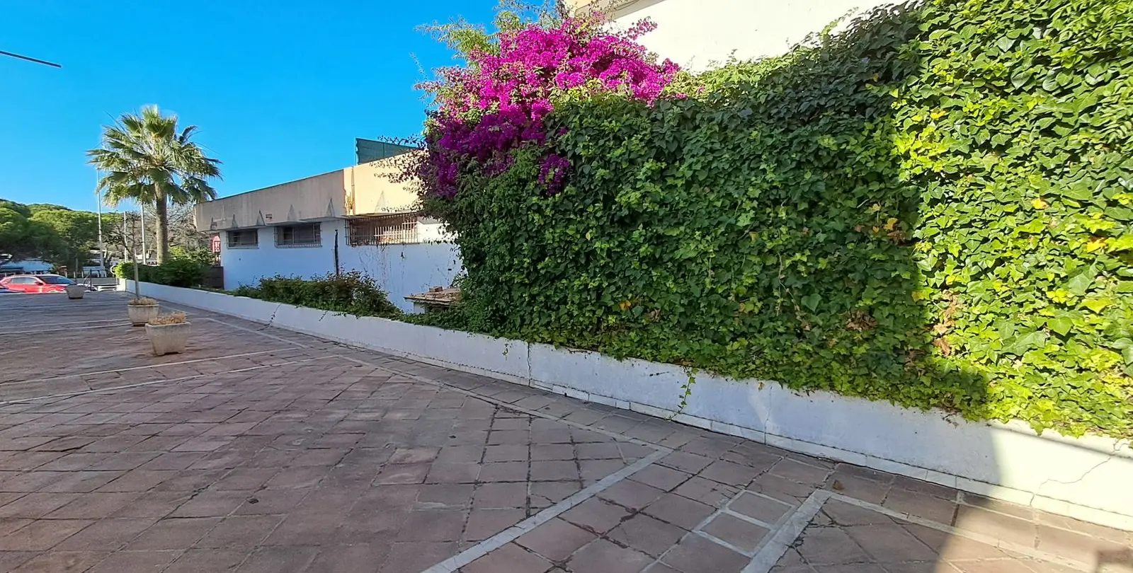 Sale of commercial premises in Estepona 20