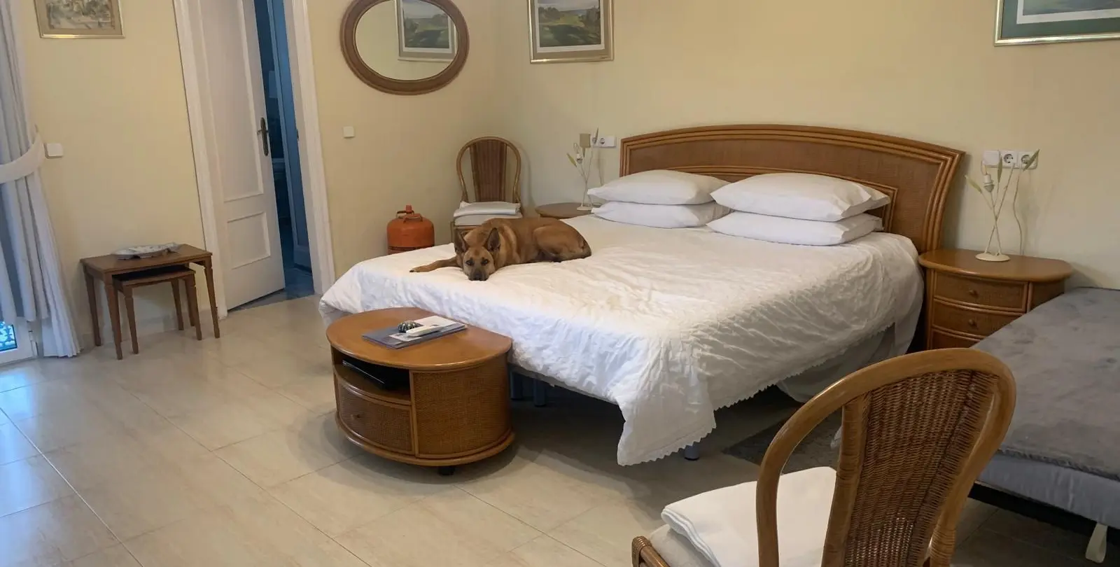 Sale of detached villa in Mijas Costa 27