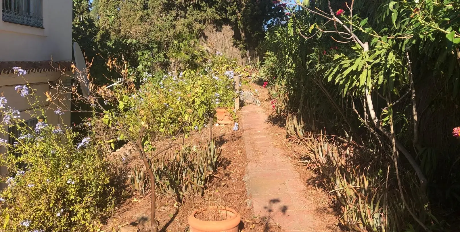 Sale of detached villa in Mijas Costa 44