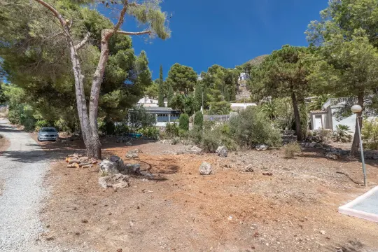 Image 66 thumb