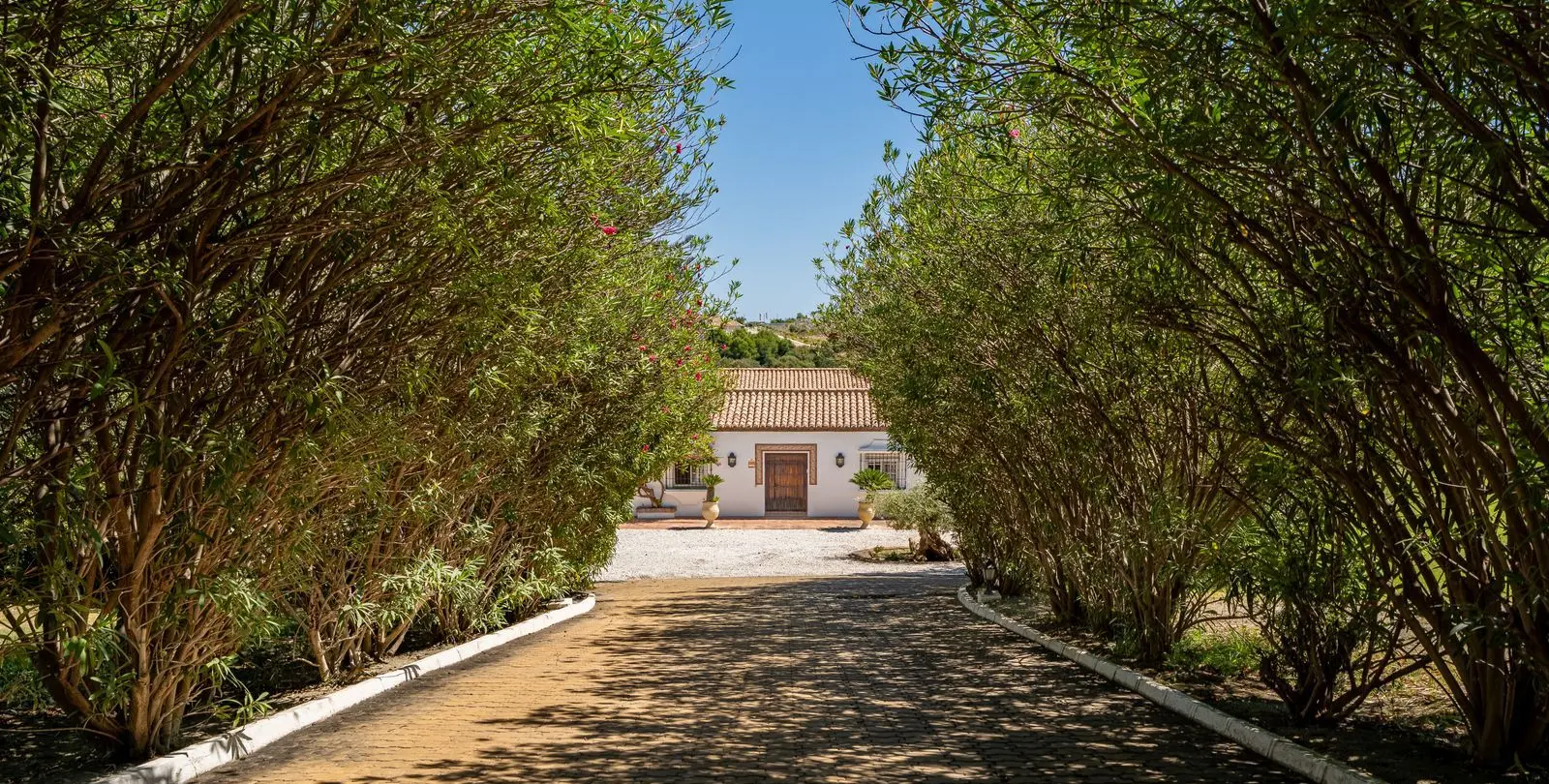 Venta de finca - cortijo en Cancelada 3