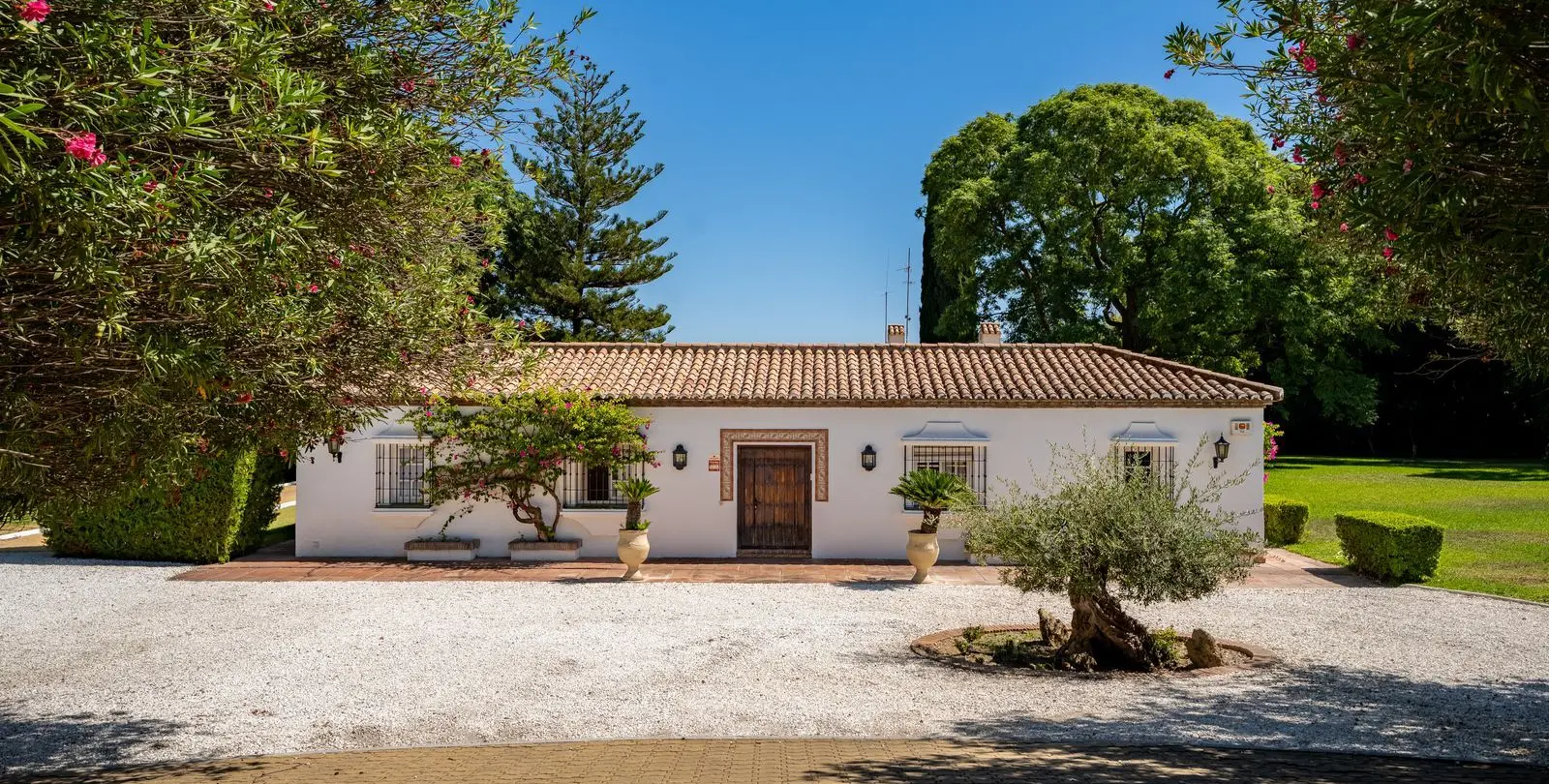 Venta de finca - cortijo en Cancelada 5