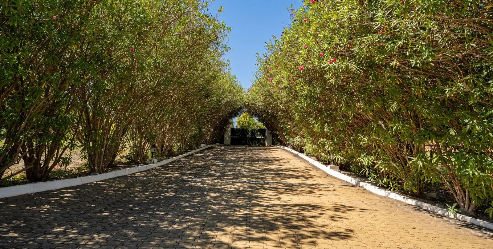 Venta de finca - cortijo en Cancelada 48