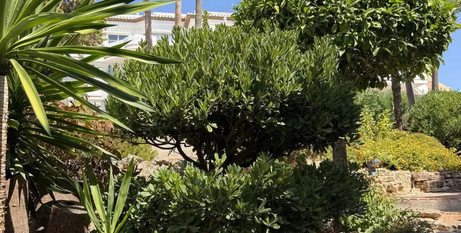 Venta de apartamento en planta baja en Mijas Golf 25