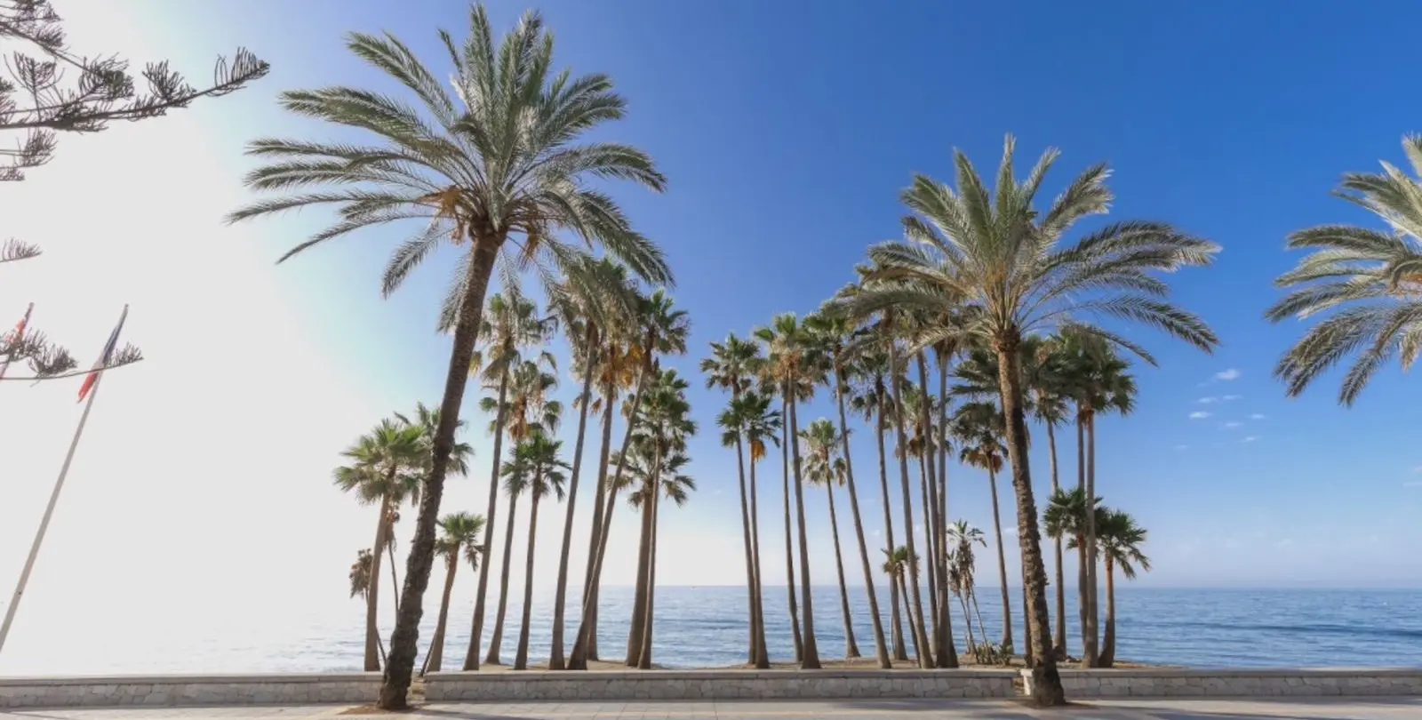 Venta de local comercial en Marbella 3