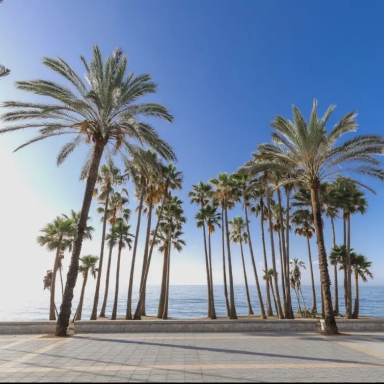 Venta de local comercial en Marbella