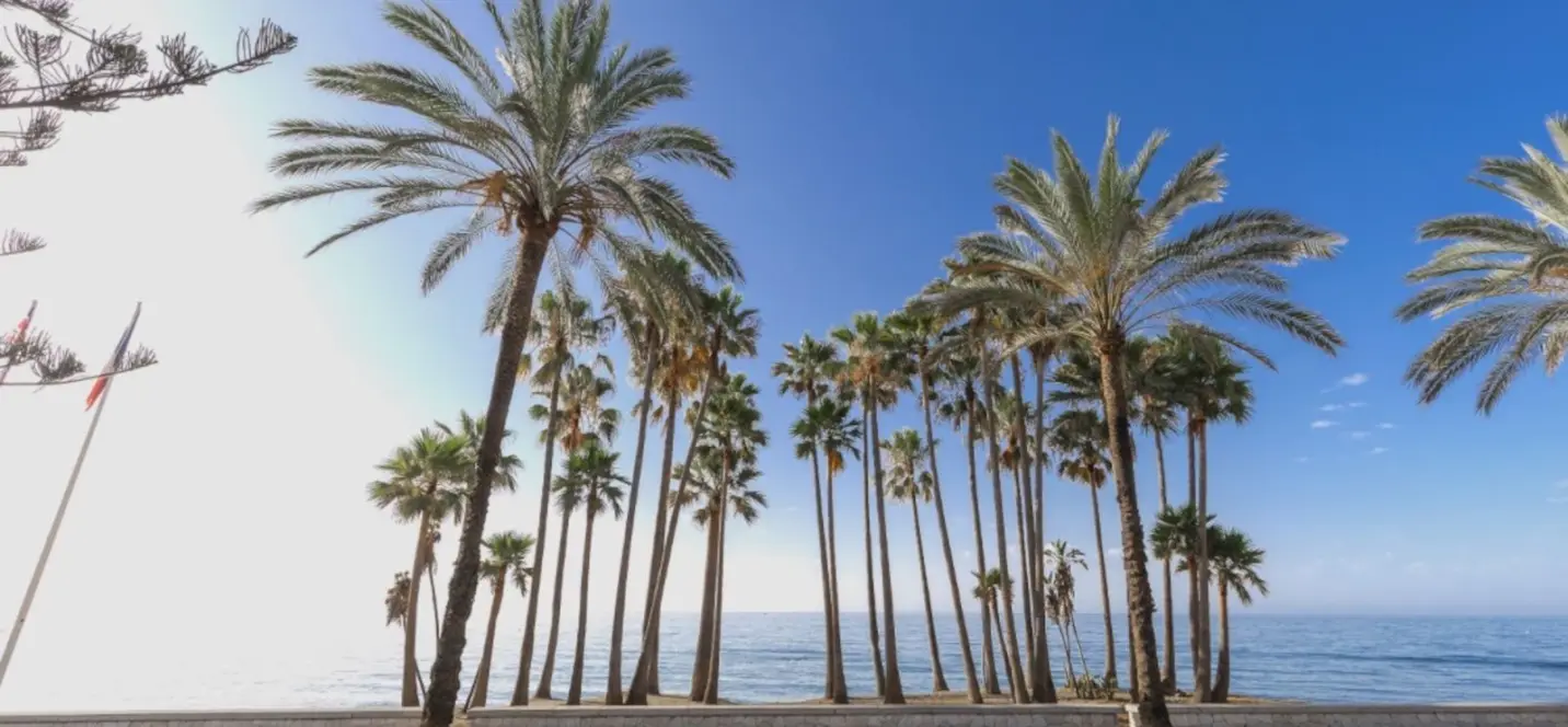 Venta de local comercial en Marbella 2