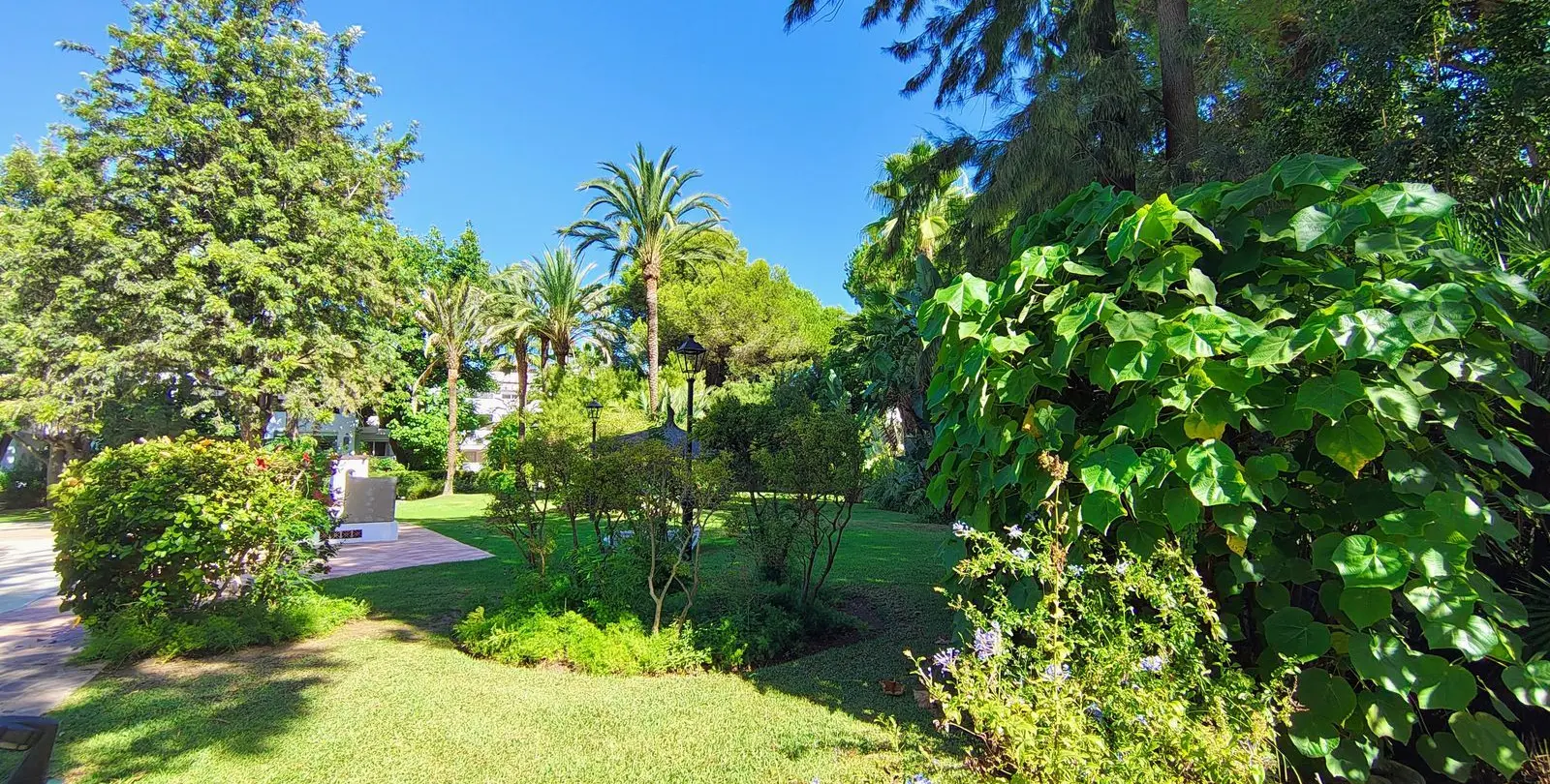 Venta de apartamento en planta media en Guadalmina Baja 24