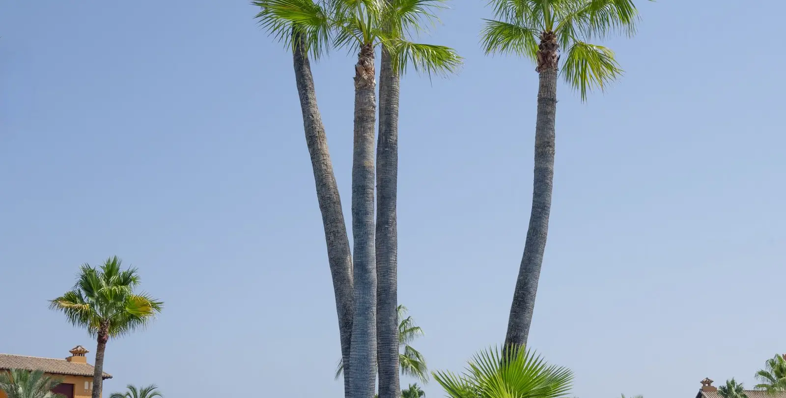Продажа апартаментов на среднем этаже в Estepona 18