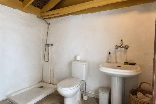 Image 4 thumb