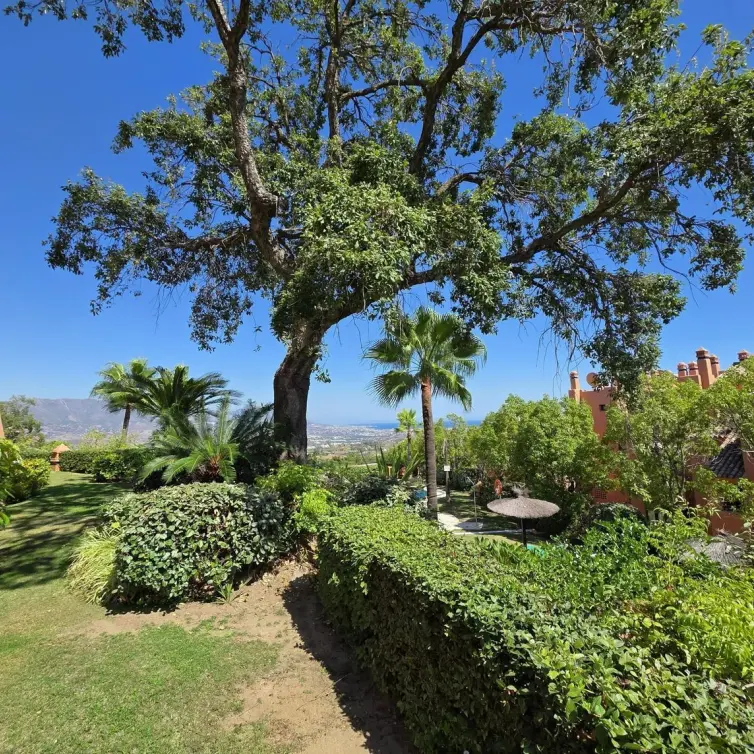 Venta de apartamento en planta baja en La Mairena