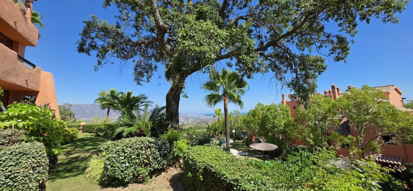 Sale of ground floor apartment in La Mairena 2