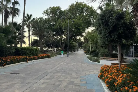 Image 22 thumb