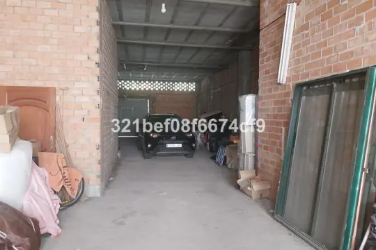 Image 10 thumb