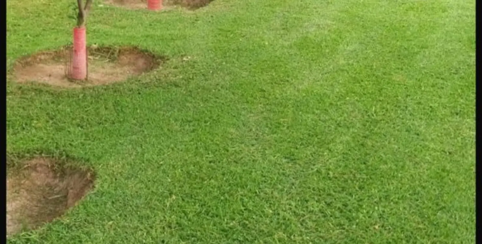Venta de adosado en Elviria 30
