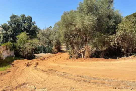 Image 6 thumb