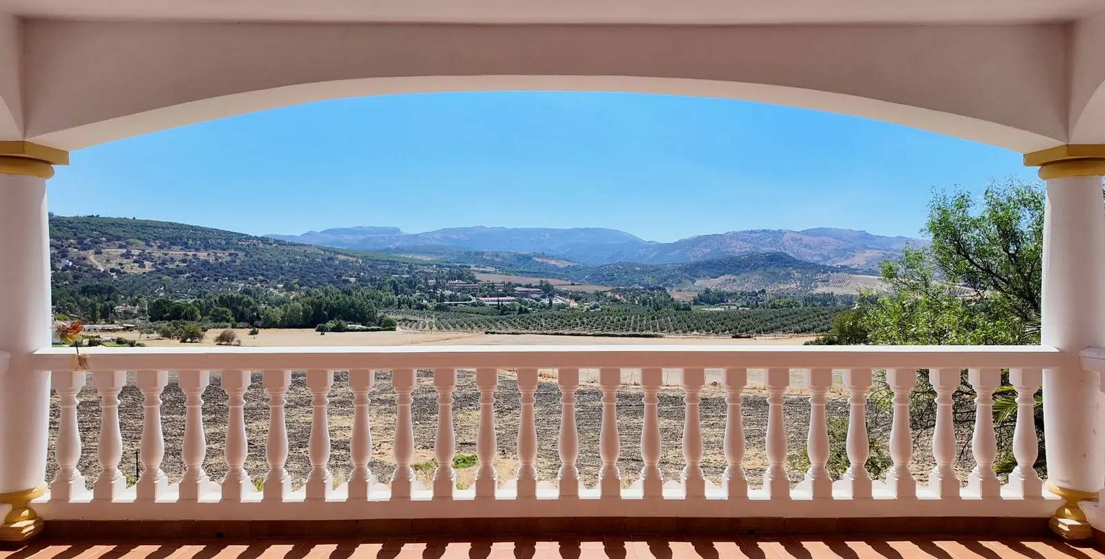 Venta de finca - cortijo en Ronda 5