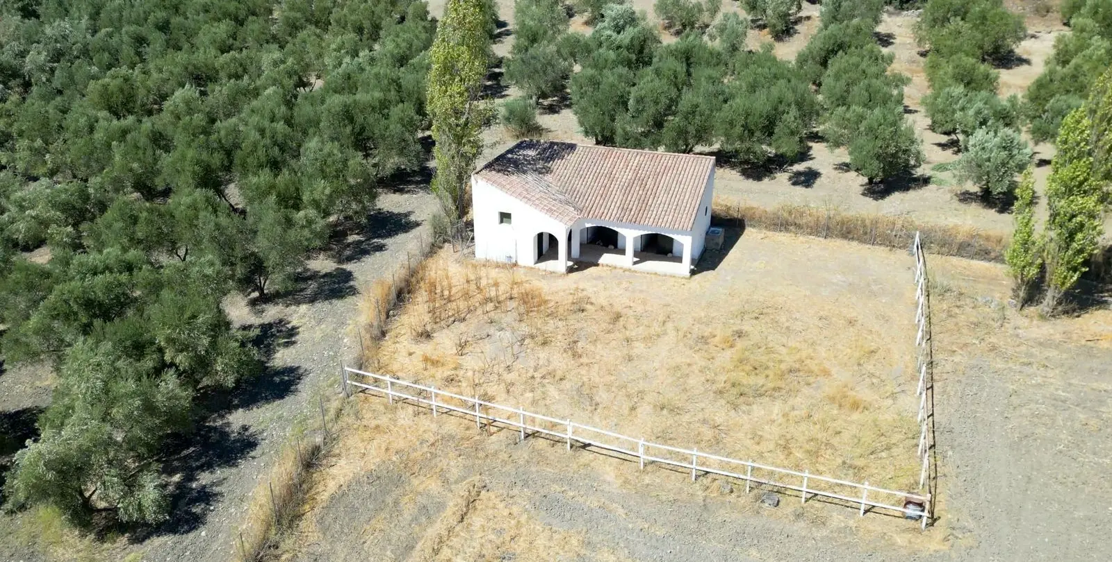 Venta de finca - cortijo en Ronda 41