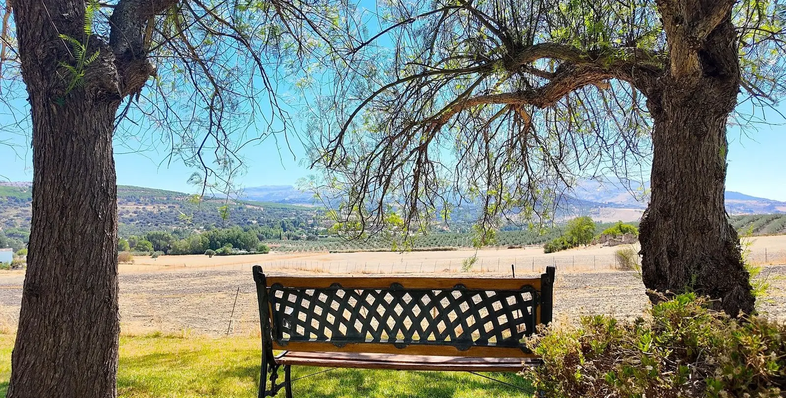 Venta de finca - cortijo en Ronda 42