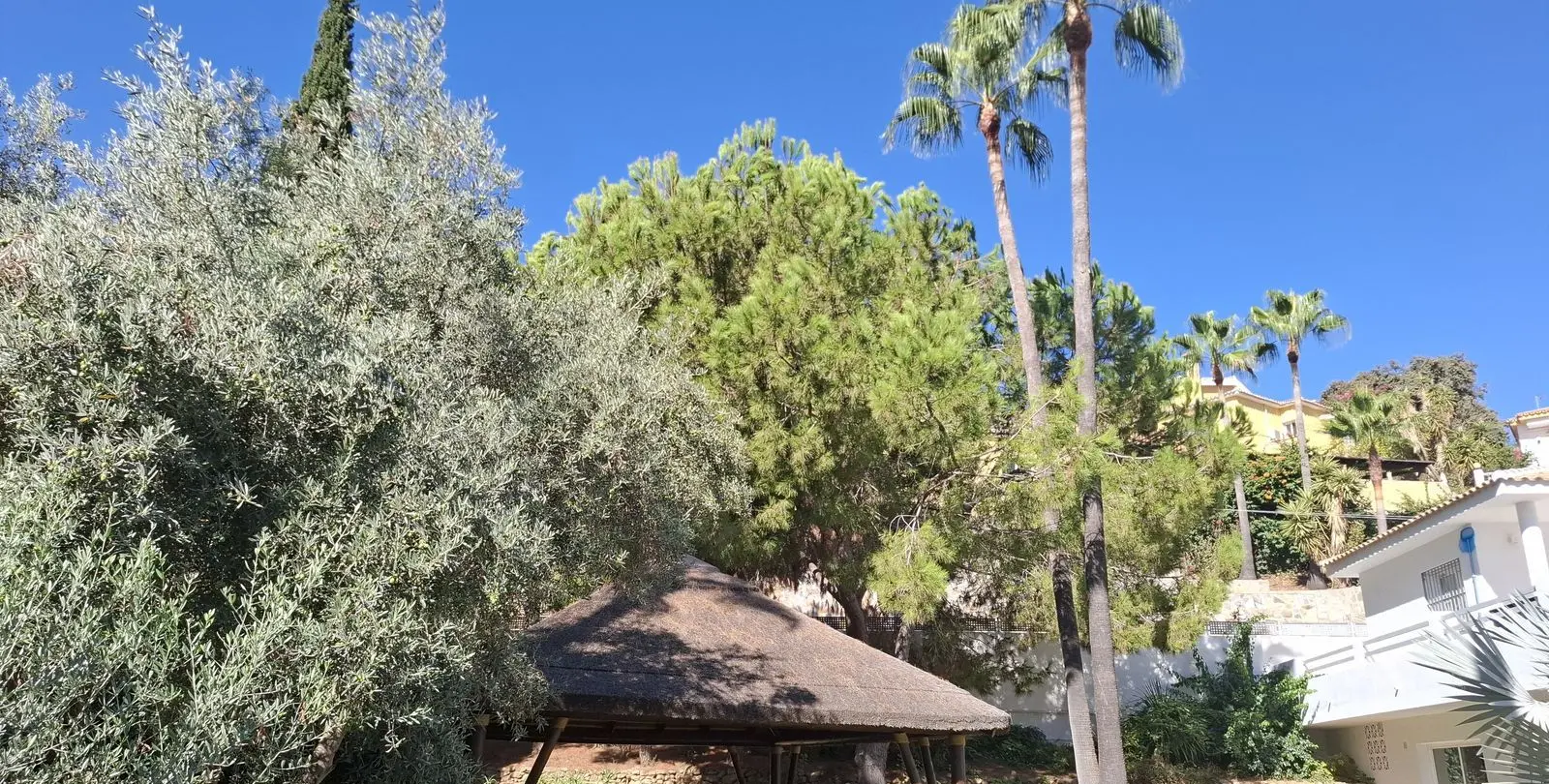 Sale of detached villa in Mijas Costa 26