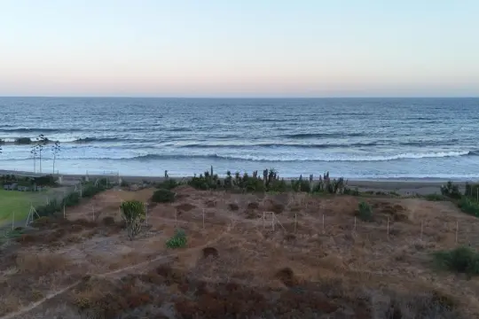 Image 6 thumb