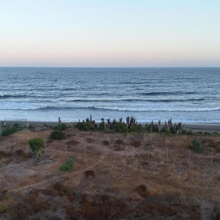 Venta de parcela residencial en Guadalmina Baja