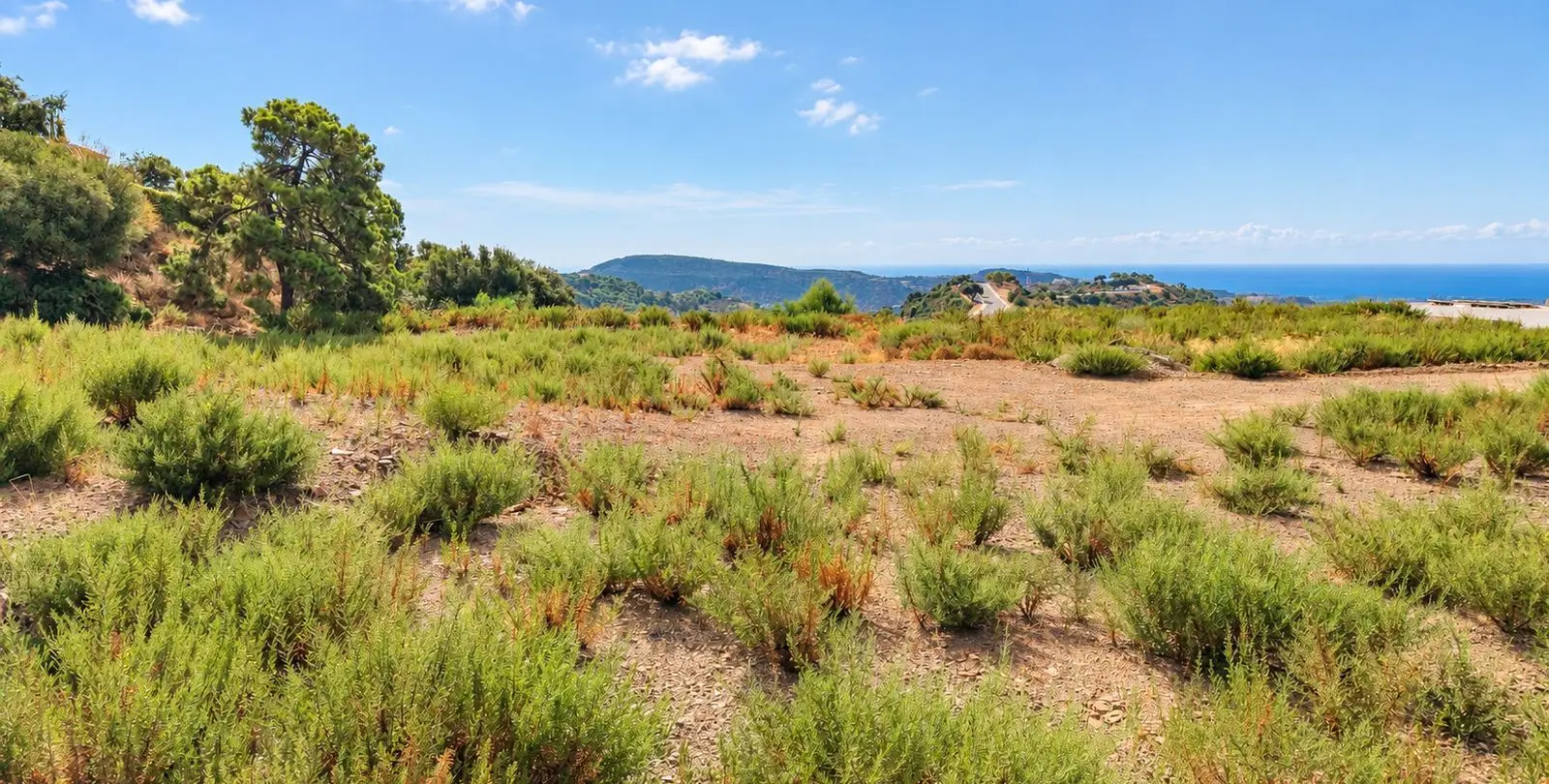 Venta de parcela residencial en Benahavís 5