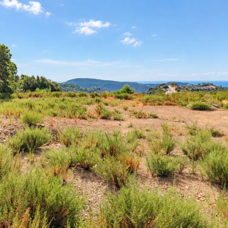 Sale of residential plot in Benahavís