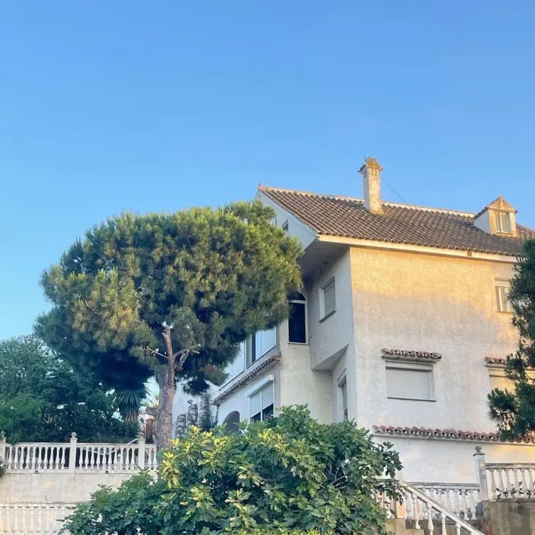 Sale of detached villa in El Faro