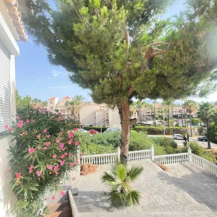 Sale of detached villa in El Faro
