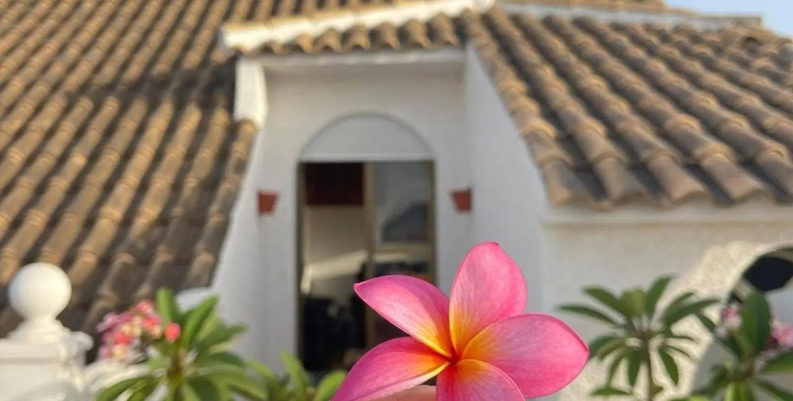 Sale of detached villa in El Faro 33