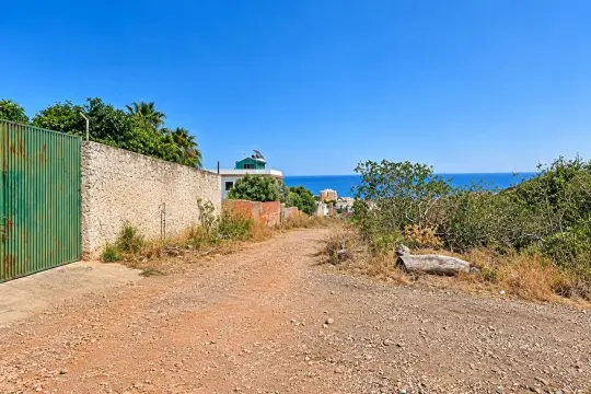 Image 7 thumb