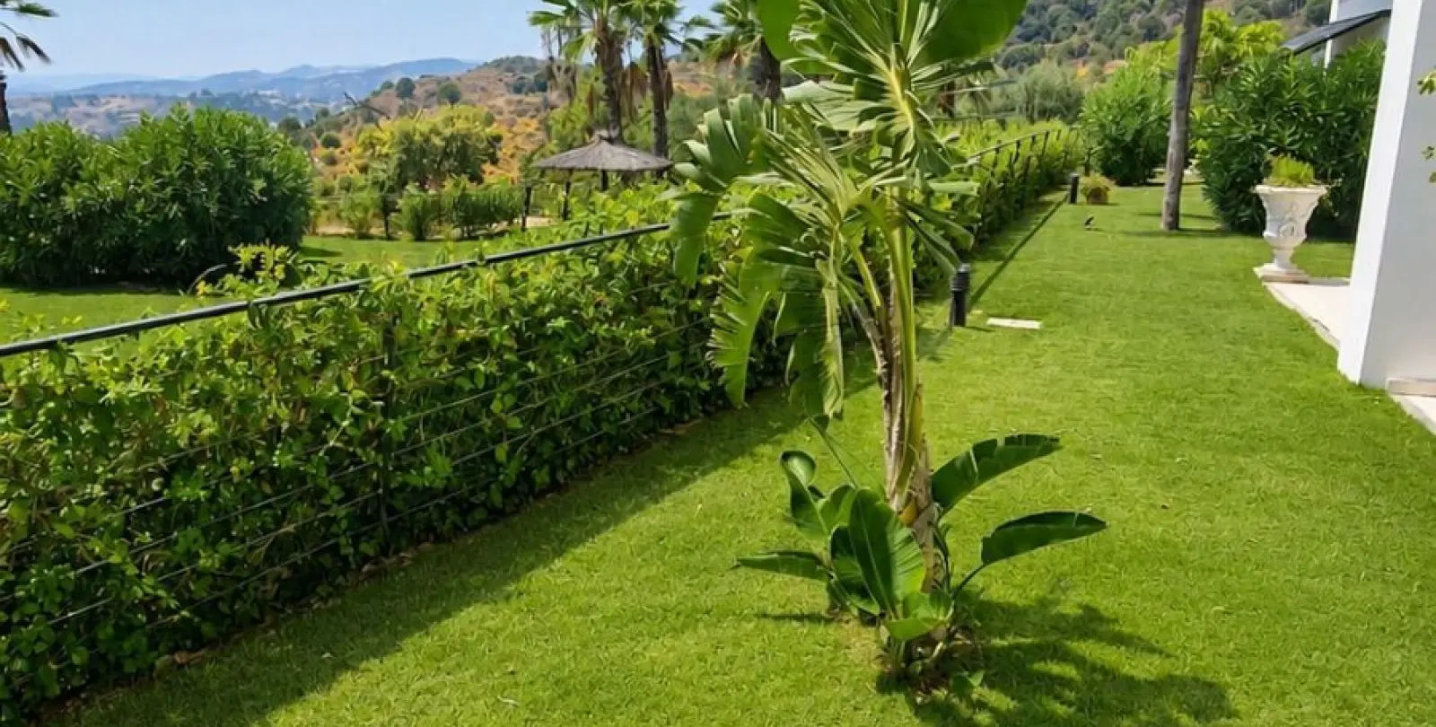 Sale of ground floor apartment in Estepona 3