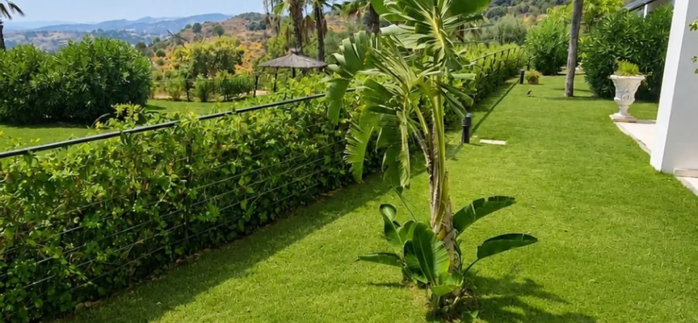 Sale of ground floor apartment in Estepona 2