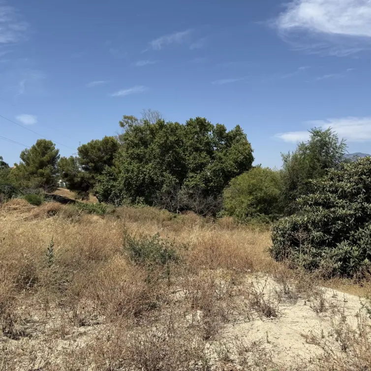 Продажа  жилого участка в San Pedro de Alcántara